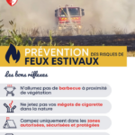 VIGILENCE FEU DE FORET ET VEGETATION